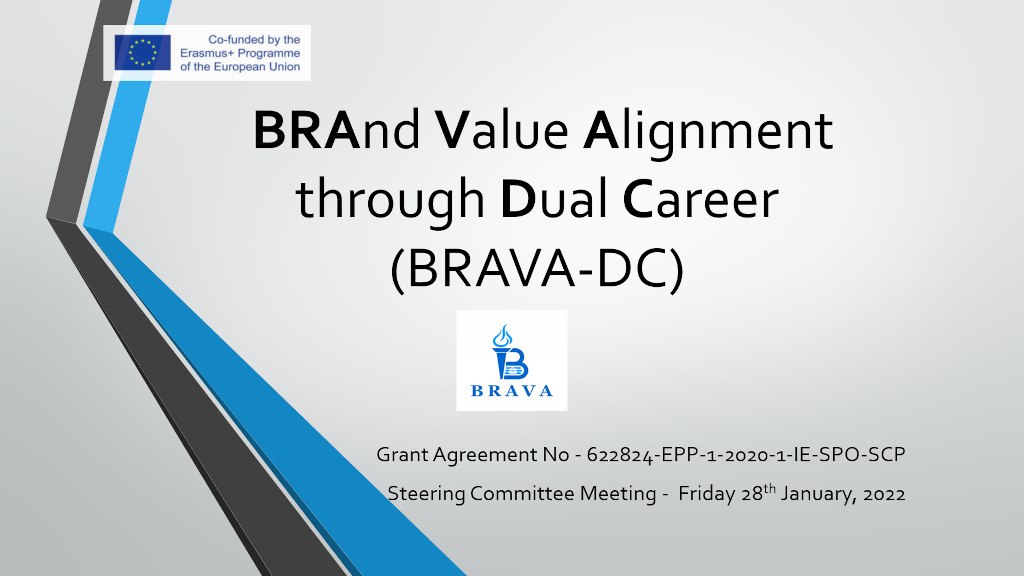 BRAVA project presentation
