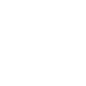 Brand Value Alignment through Dual Career - BRAVA