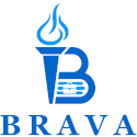 Brand Value Alignment through Dual Career - BRAVA