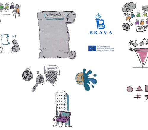 Online meeting of the BRAVA project partners