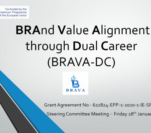 January online BRAVA partners meeting